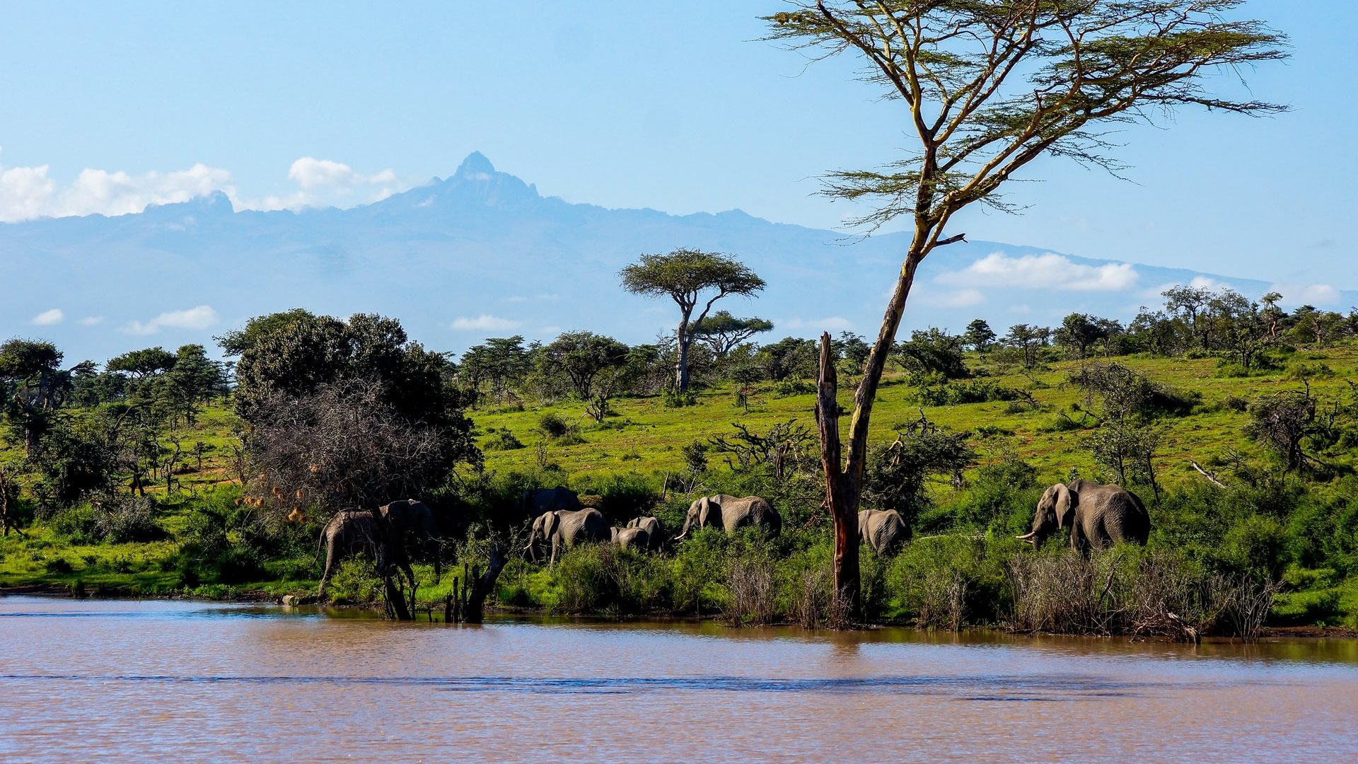 aberdare national park