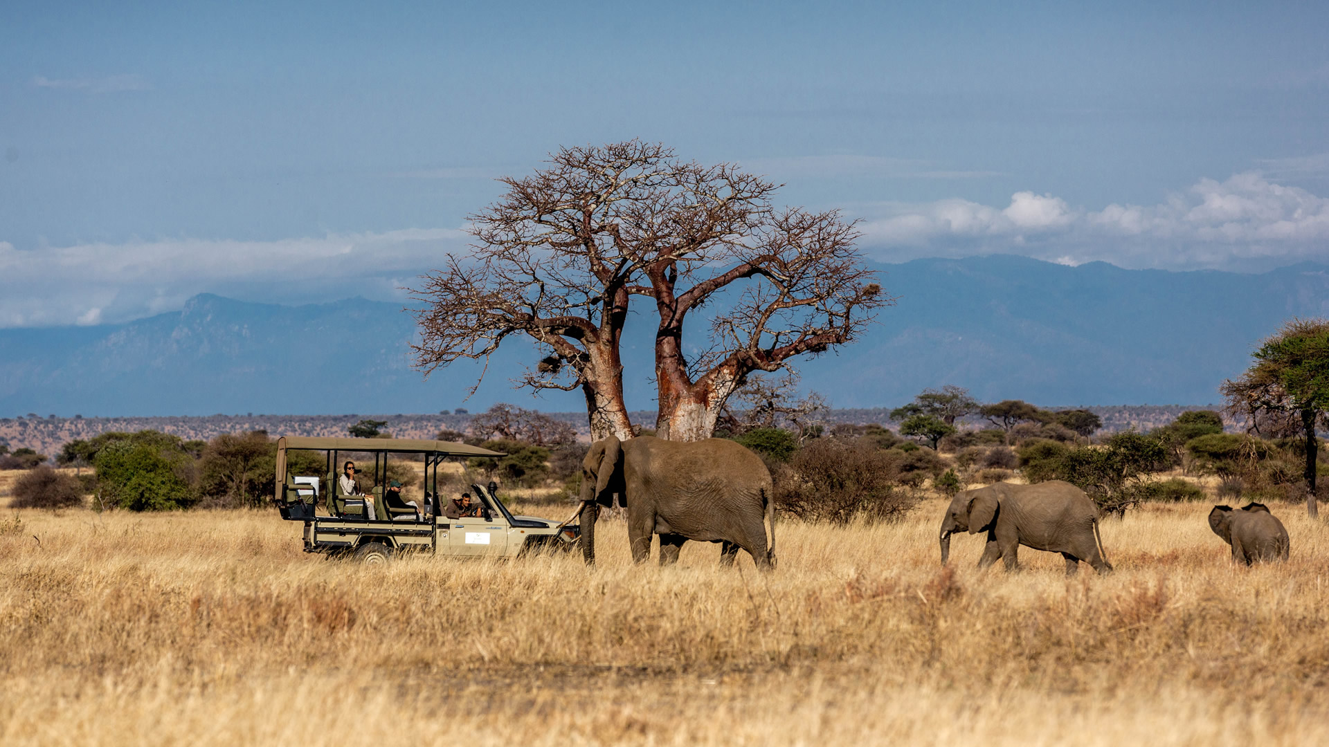 tarangire national park