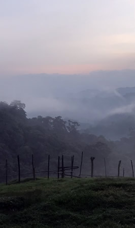 gishwati mukura national park
