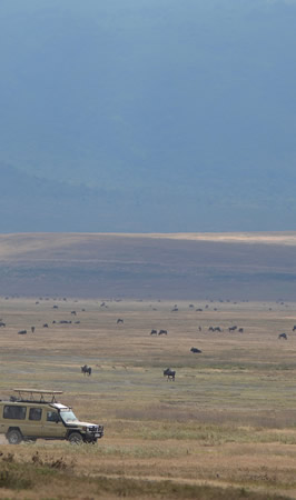 ngorongoro conservation area