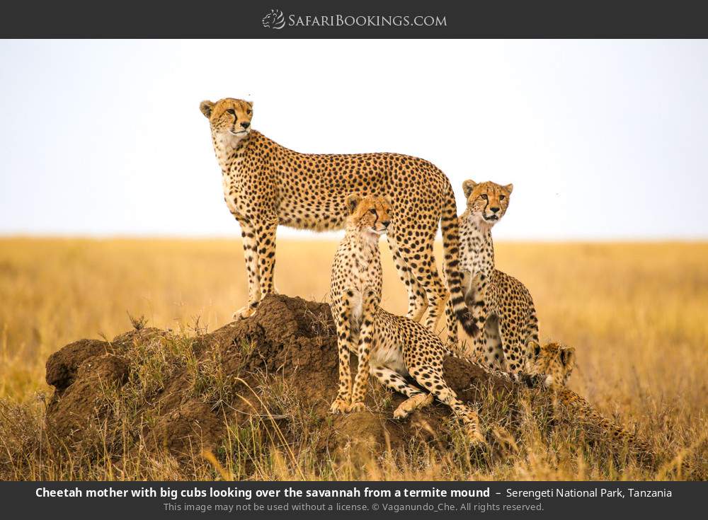 10-Day Classic Kenya Safari